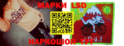 СК Дубна