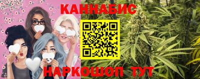 СК Дубна