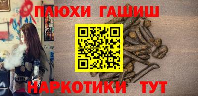 СК Дубна