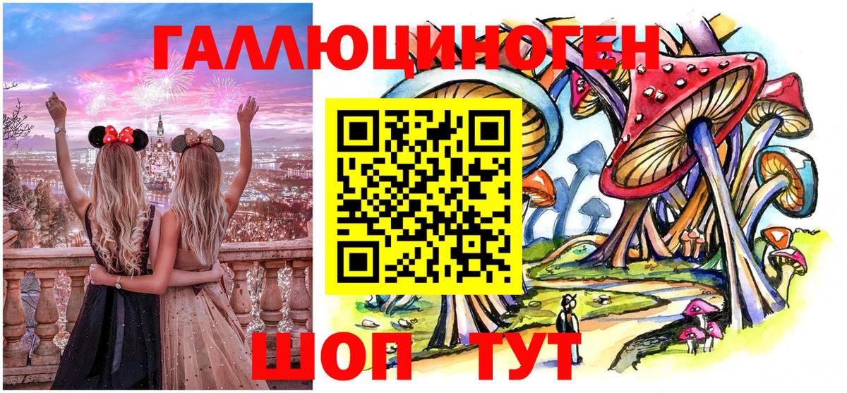 хочу   Псилоцибиновые грибы прущие грибы  Майский  Вход с VPN  Псилоцибиновые грибы GOLDEN TEACHER 